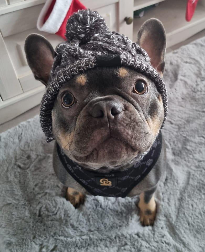 Hunde Strickmütze Größe M - Bobbis Store Hunde