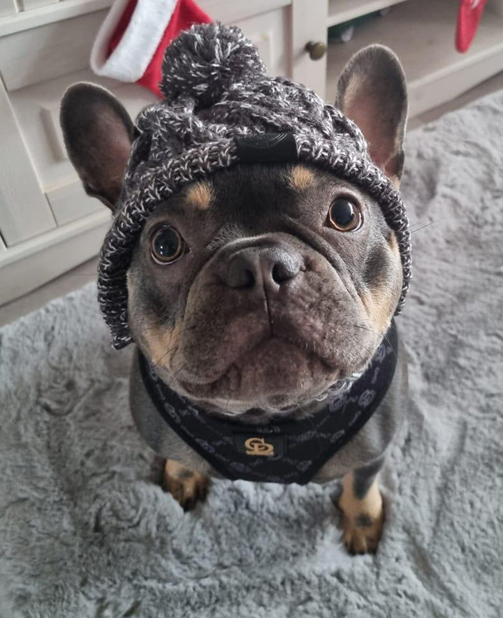 Hunde Strickmütze Größe M - Bobbis Store Hunde