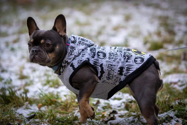 HUNDE-SWEATSHIRT BATMAN 2 - Bobbis Store Hunde