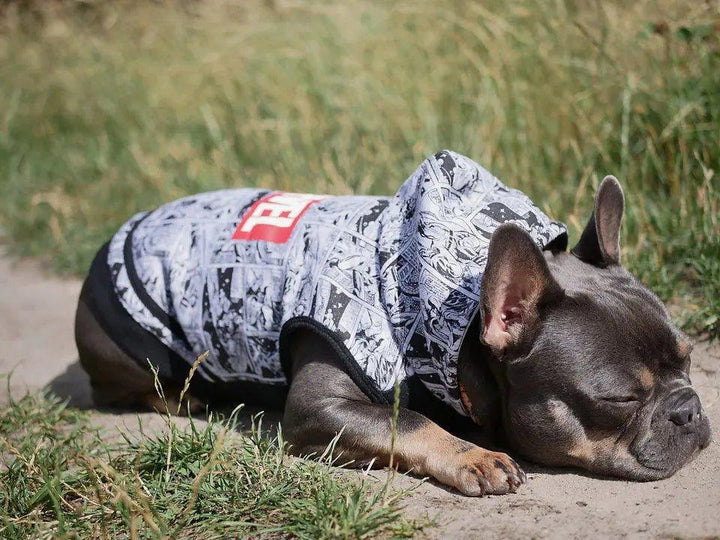 HUNDE-SWEATSHIRT MARVEL - Bobbis Store Hunde