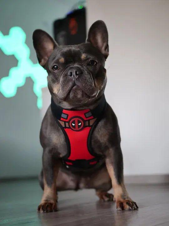 Hundegeschirr DEADPOOL - Bobbis Store Hunde