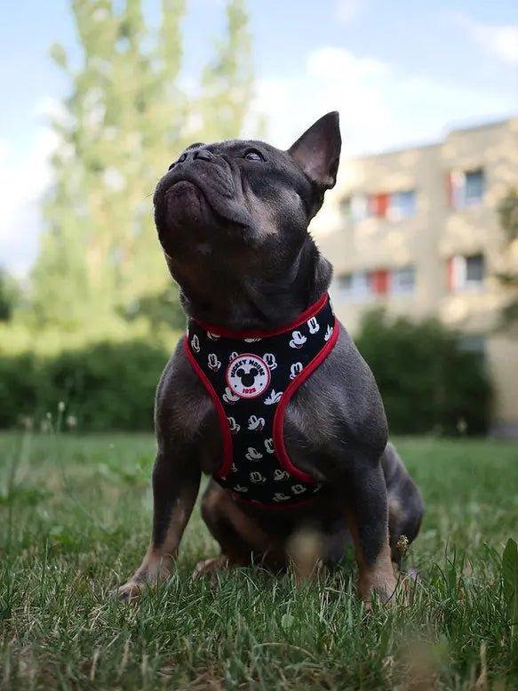 Hundegeschirr MICKEY - Bobbis Store Hunde