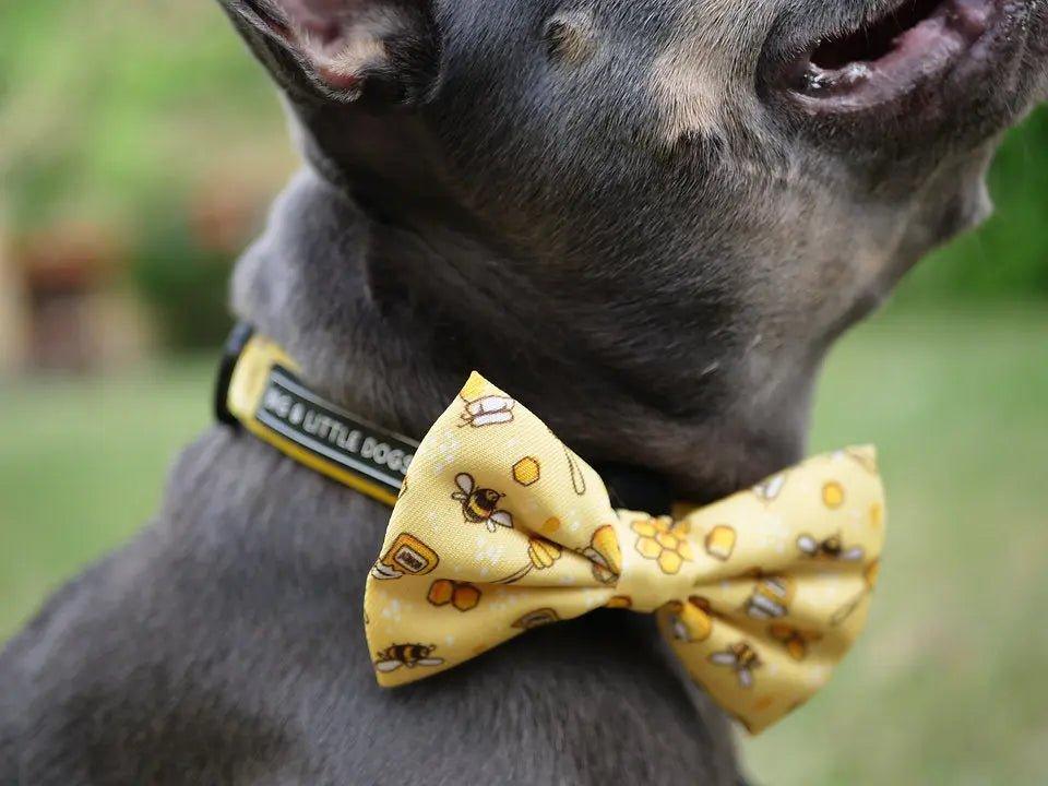 HUNDEHALSBAND UND FLIEGE: Honigbiene - Bobbis Store Hunde