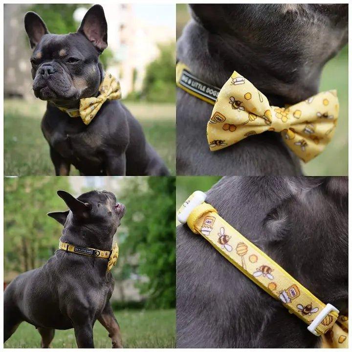 HUNDEHALSBAND UND FLIEGE: Honigbiene - Bobbis Store Hunde