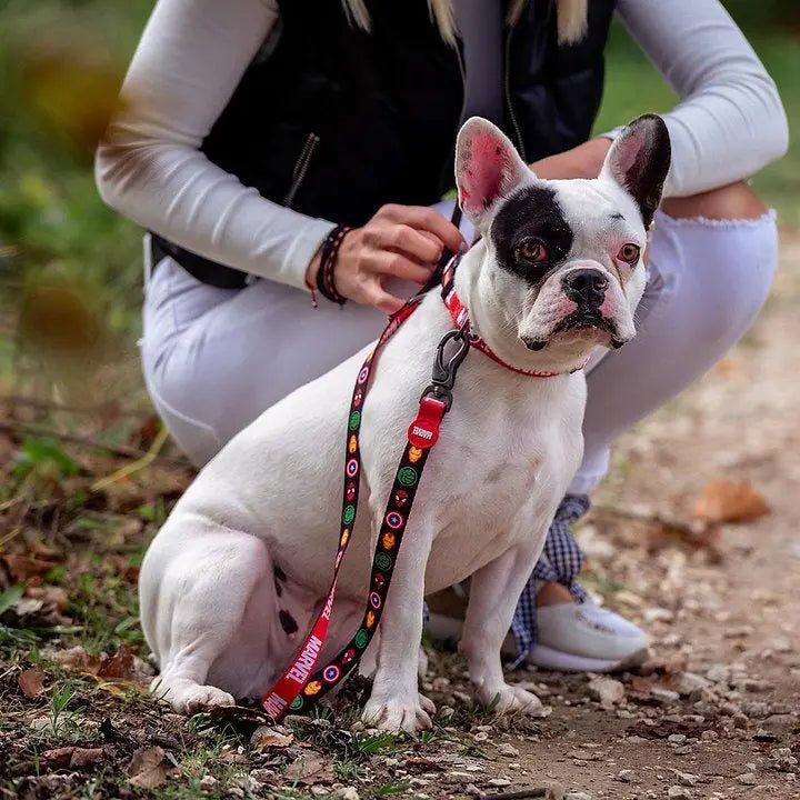 Hundeleine MARVEL - Bobbis Store Hunde