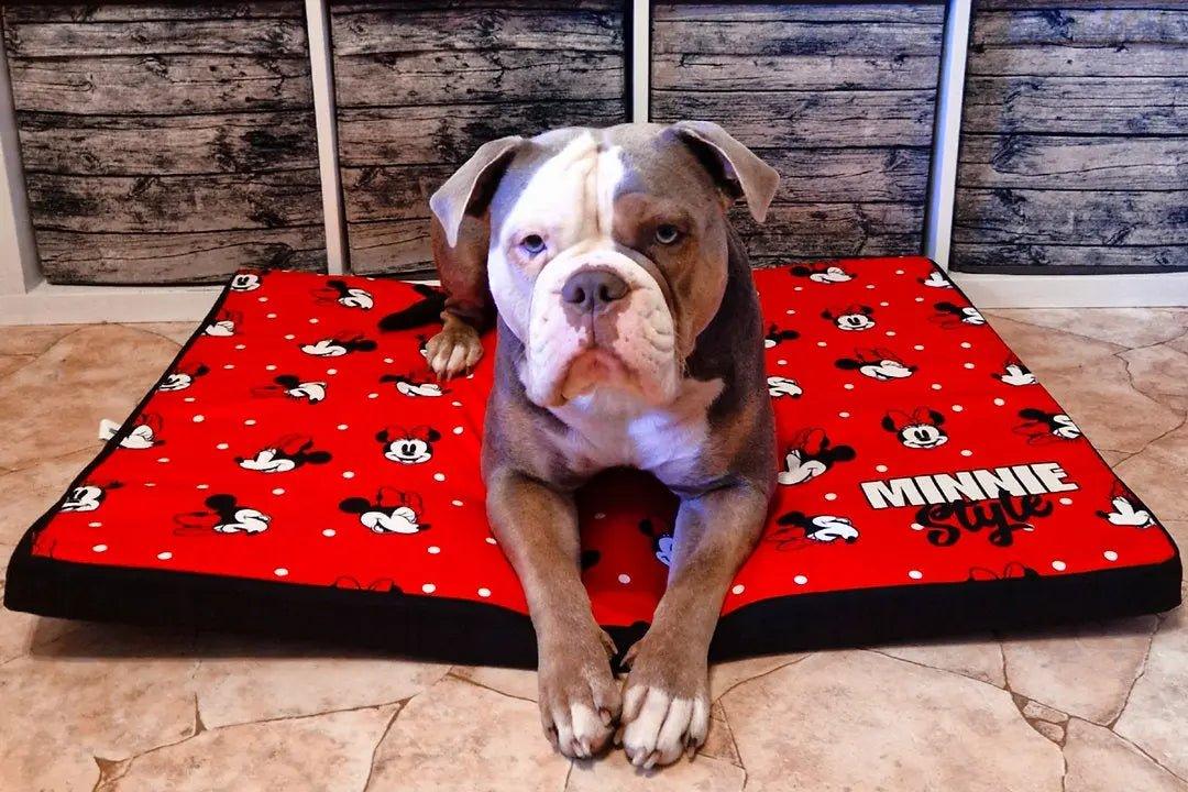 HUNDEMATTE MINNIE MAUS - Bobbis Store Hunde