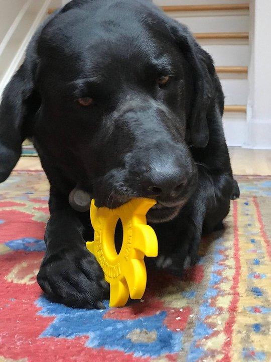 ID Nylon Kreissägeblatt - Med/Large - Gelb - Bobbis Store Hunde