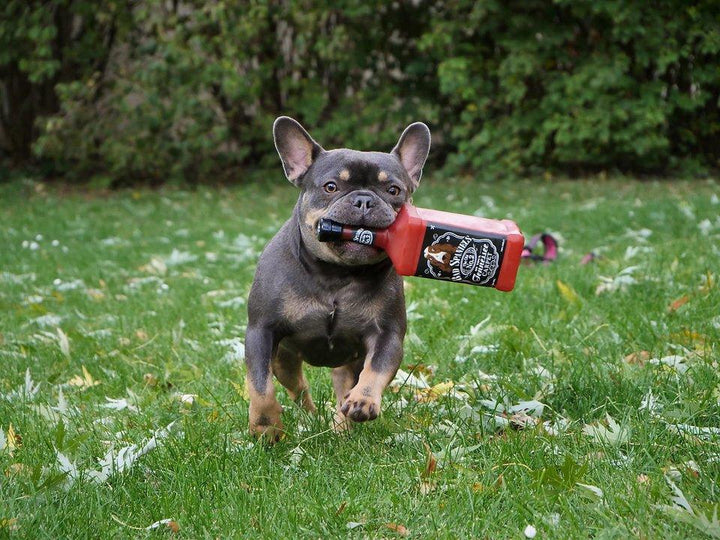 Jack Dog The Old No.2 - Bobbis Store Hunde