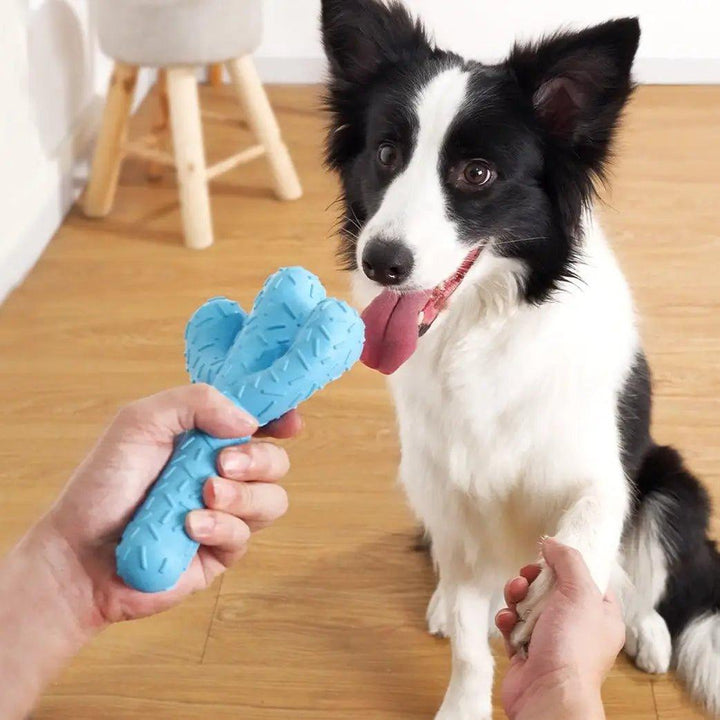 Kaktus Kauspielzeug (blau) - Bobbis Store Hunde