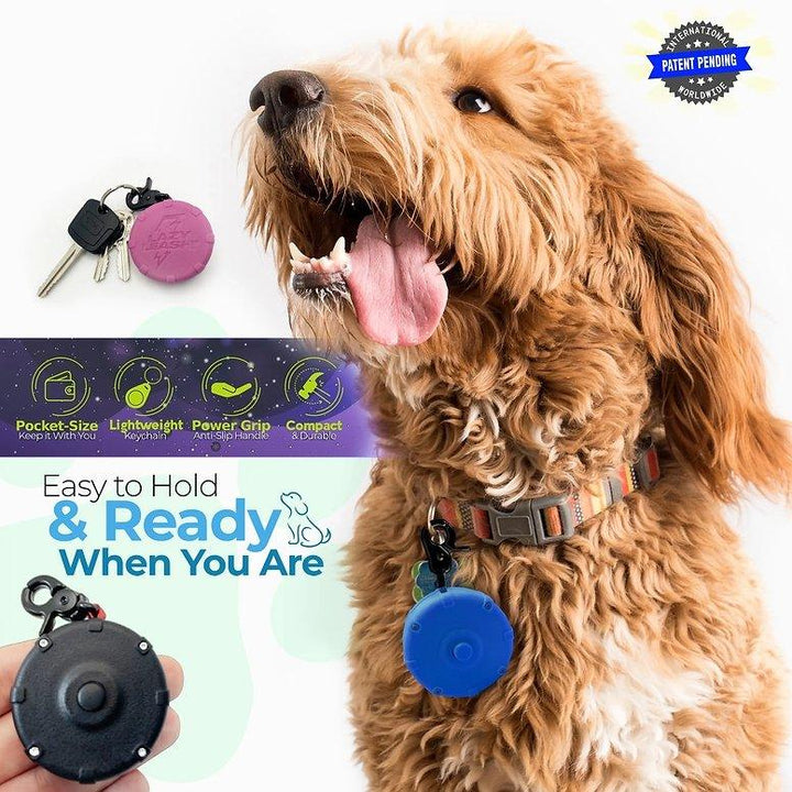 Lazy Leash Mini-Power-Leine - Bobbis Store Hunde