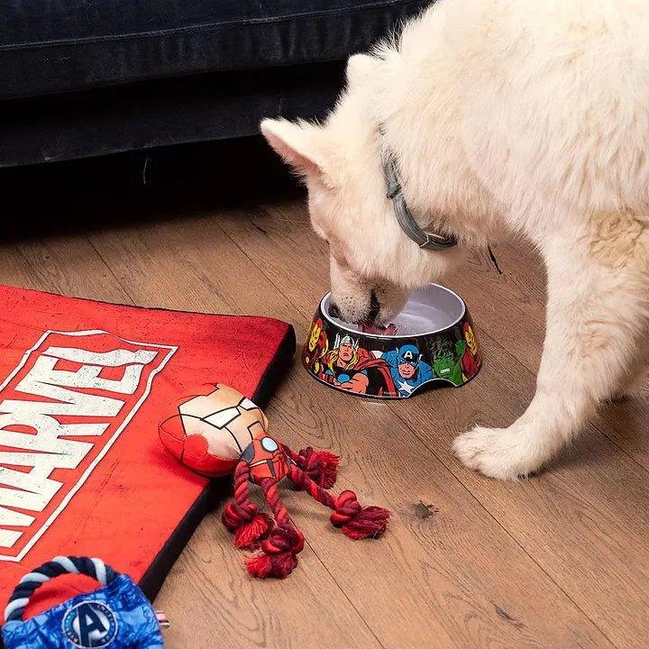 MARVEL Hundenapf - Bobbis Store Hunde