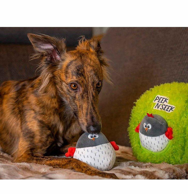 Peek N' Seek | Hundespielzeug - Bobbis Store Hunde