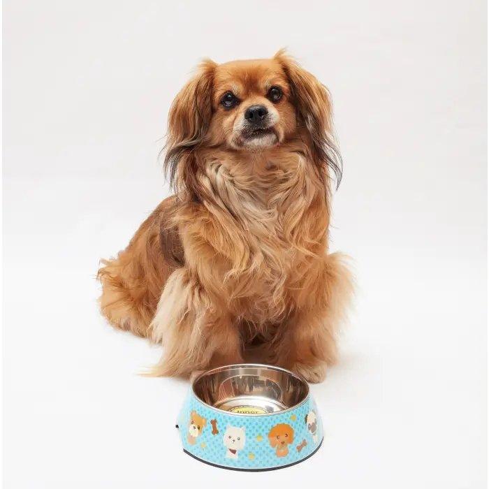 Picknick Hundenapf Blau-Kawaii - Bobbis Store Hunde