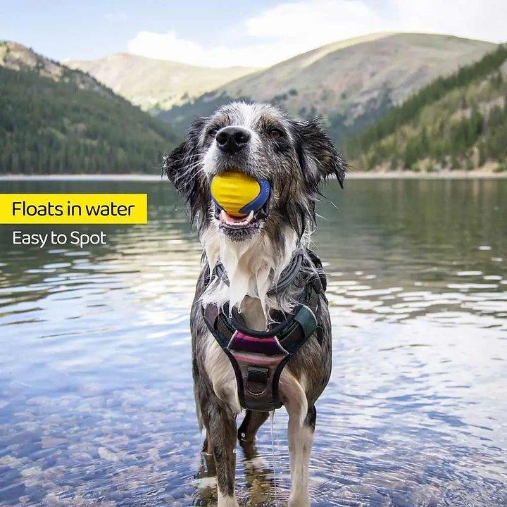 Power Duo — Schlepper und Apportierball (Hundespielzeug-Set) - Bobbis Store Hunde