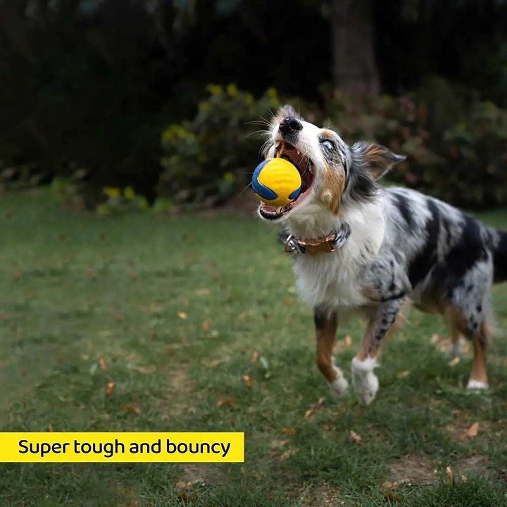 Power Duo — Schlepper und Apportierball (Hundespielzeug-Set) - Bobbis Store Hunde