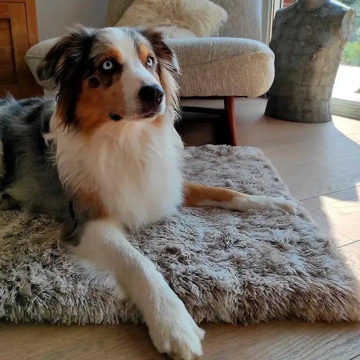 Premium Bobbi Hundedecke - Grau - Bobbis Store Hunde