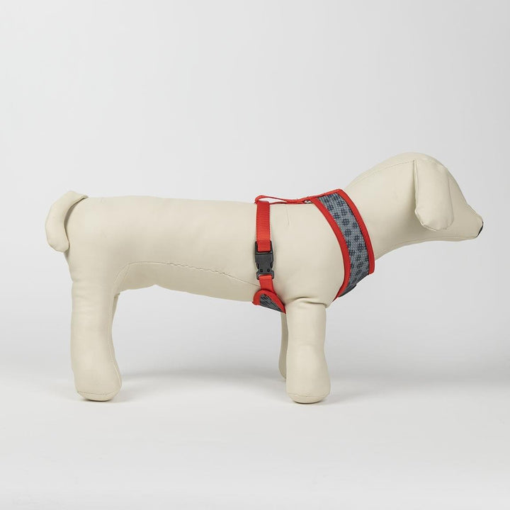 Premium Minnie Hundegeschirr - Bobbis Store Hunde