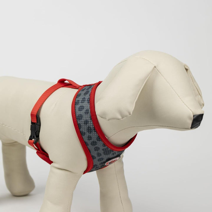 Premium Minnie Hundegeschirr - Bobbis Store Hunde