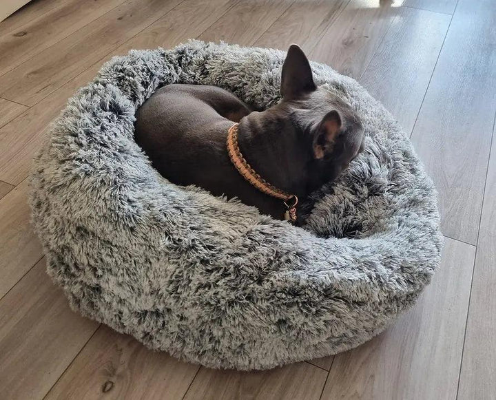 Premium Poilu Bobbi Donut Koje - Grau - Bobbis Store Hunde