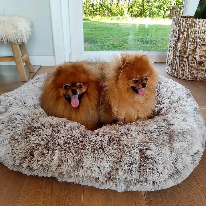 Premium Poilu Bobbi Donut Koje - Grau - Bobbis Store Hunde