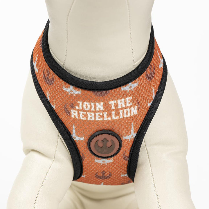 Premium Star Wars Hundegeschirr - Bobbis Store Hunde