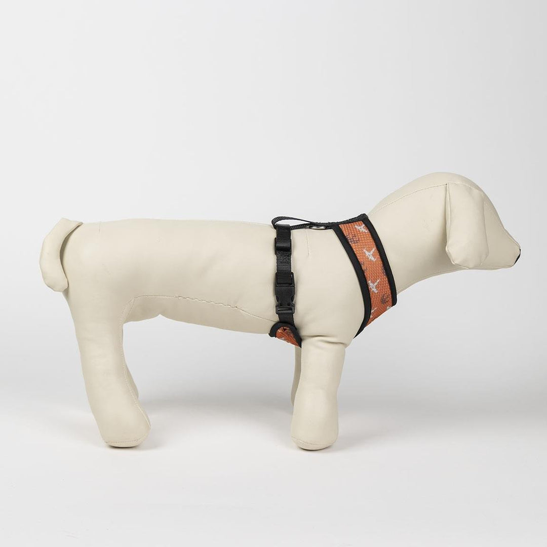 Premium Star Wars Hundegeschirr - Bobbis Store Hunde