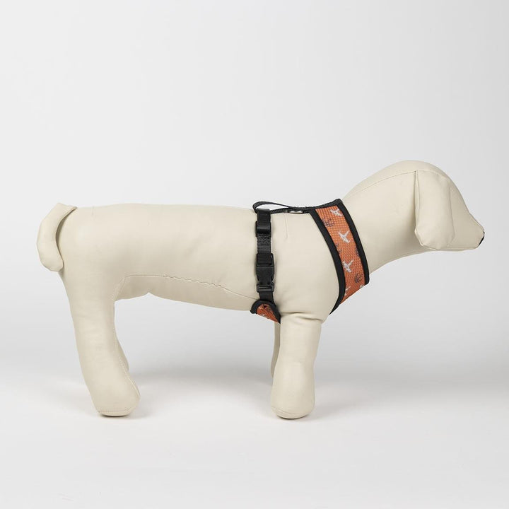 Premium Star Wars Hundegeschirr - Bobbis Store Hunde