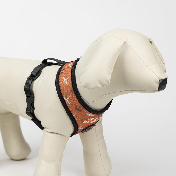 Premium Star Wars Hundegeschirr - Bobbis Store Hunde
