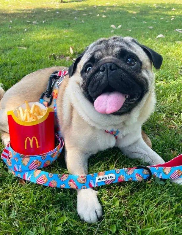 Pups Before Fries Leine - Bobbis Store Hunde