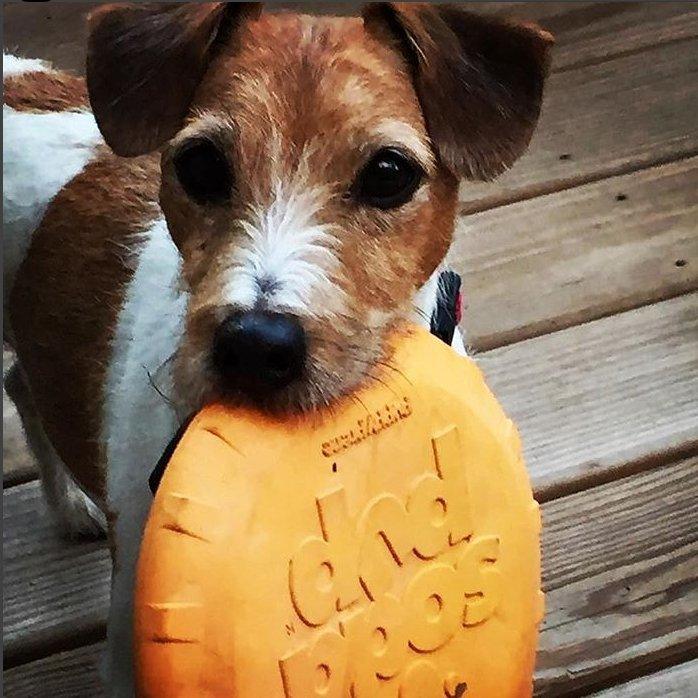 SP Bottle Top Flyer - Flying Toy - Orange - Bobbis Store Hunde