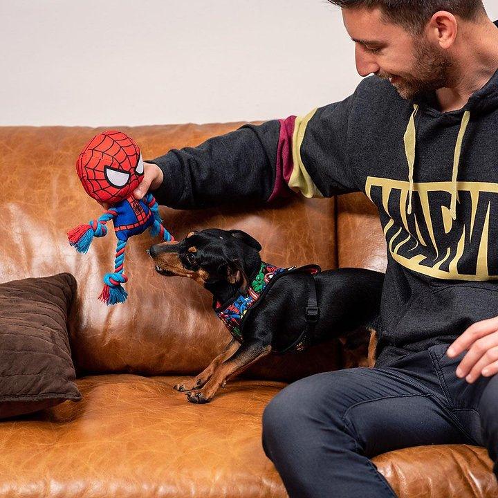 SPIDERMAN DOG ZAHNSEIL - Bobbis Store Hunde