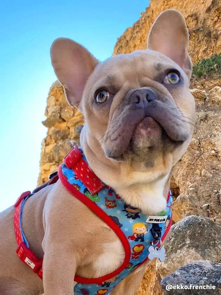Superpup verstellbares Geschirr - Bobbis Store Hunde