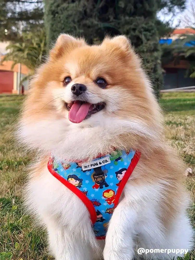 Superpup verstellbares Geschirr - Bobbis Store Hunde