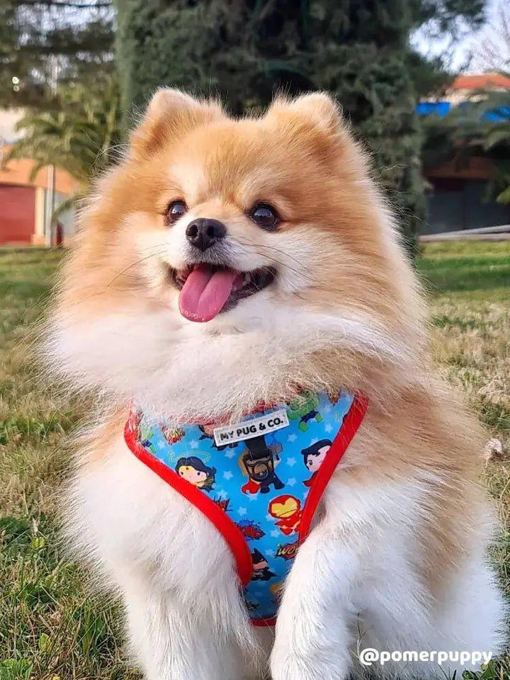 Superpup verstellbares Geschirr - Bobbis Store Hunde