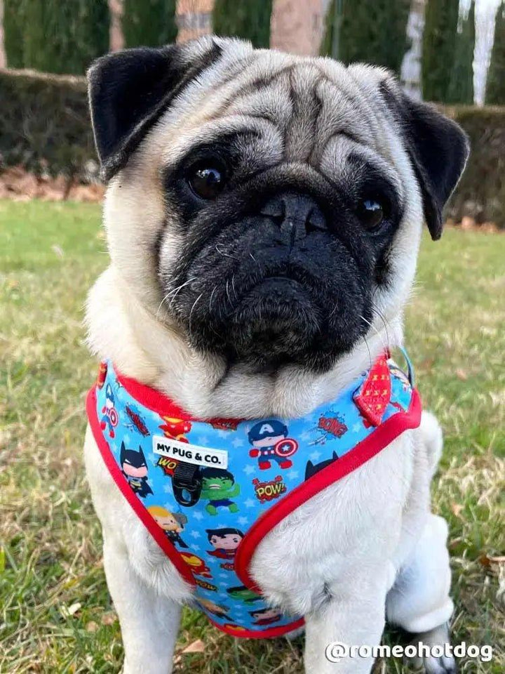 Superpup verstellbares Geschirr - Bobbis Store Hunde