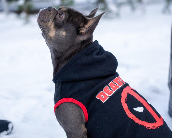 SWEATSHIRT DEADPOOL FÜR HUNDE - Bobbis Store Hunde
