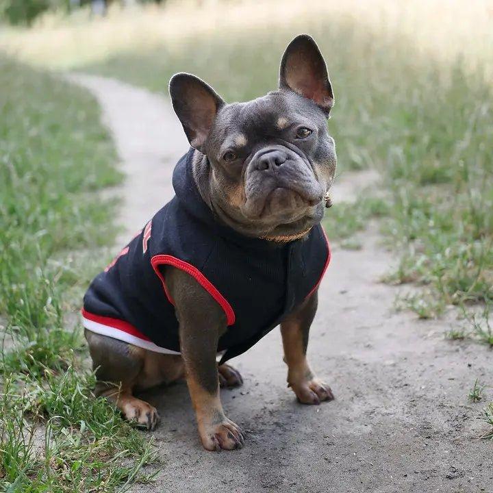 SWEATSHIRT DEADPOOL FÜR HUNDE - Bobbis Store Hunde