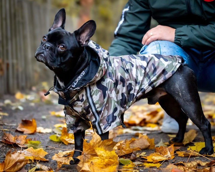 The Dog Face Regenmantel für Hunde - Camo - Bobbis Store Hunde