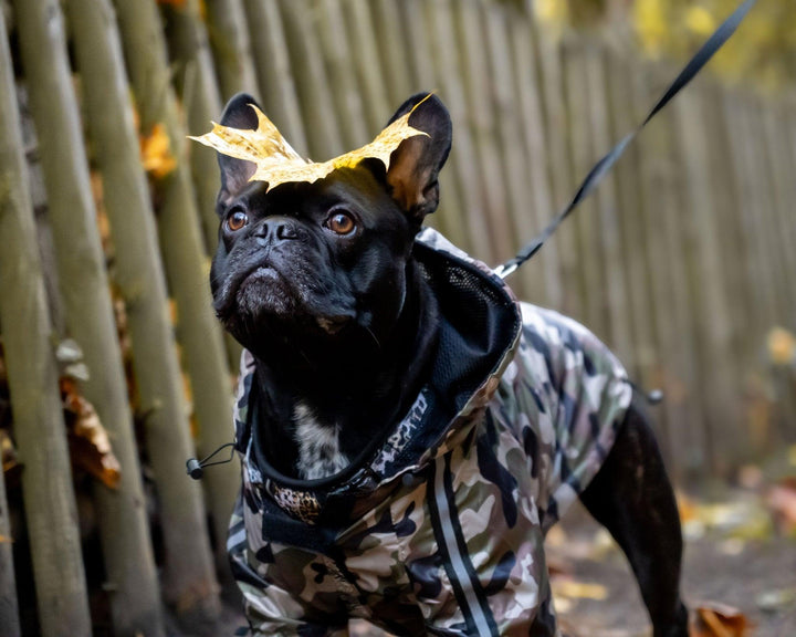 The Dog Face Regenmantel für Hunde - Camo - Bobbis Store Hunde