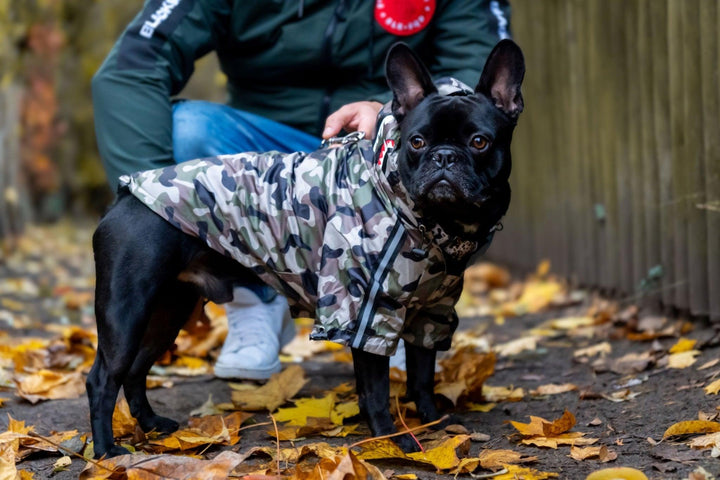 The Dog Face Regenmantel für Hunde - Camo - Bobbis Store Hunde