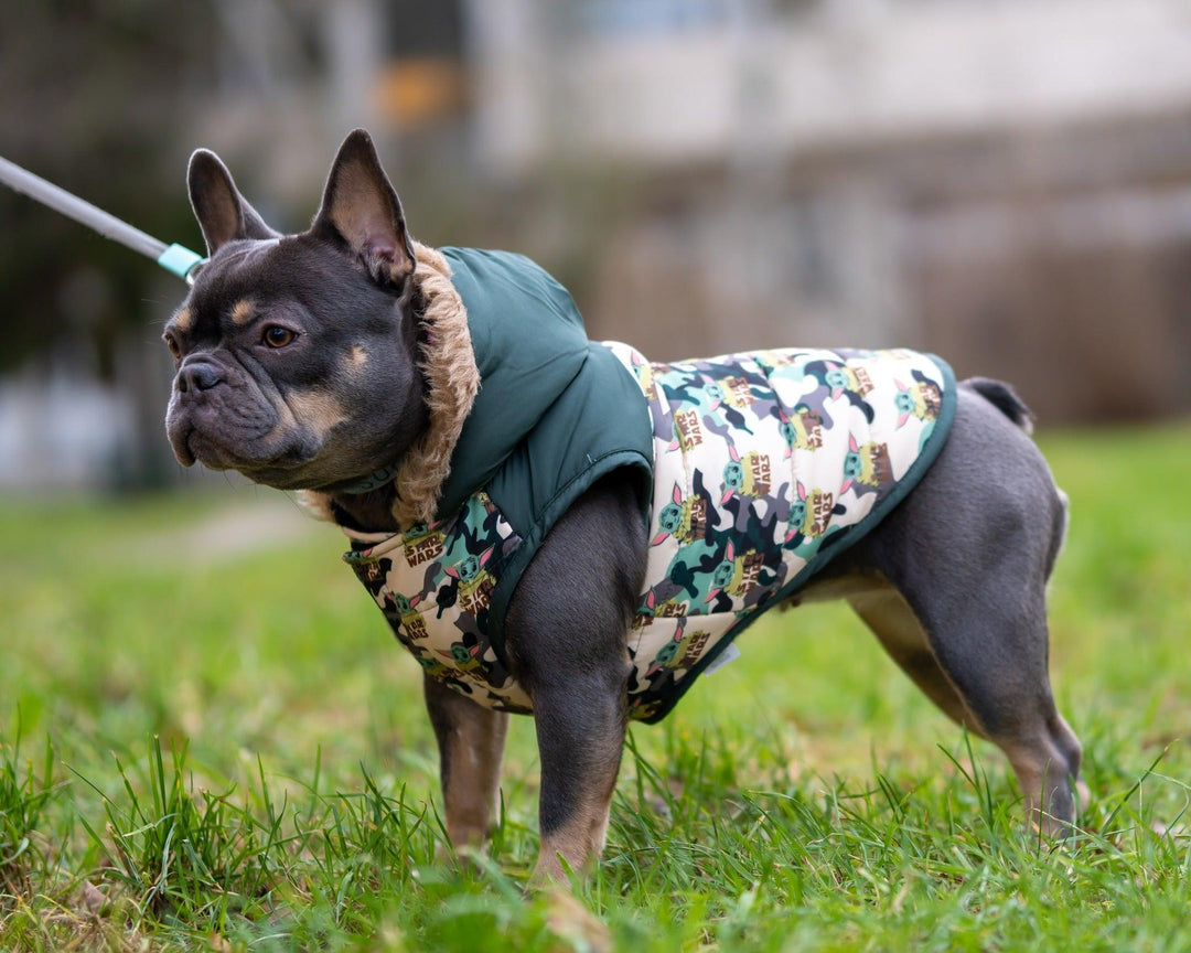 GEPOLSTERTER HUNDEMANTEL The Mandalorian - Bobbis Store Hunde
