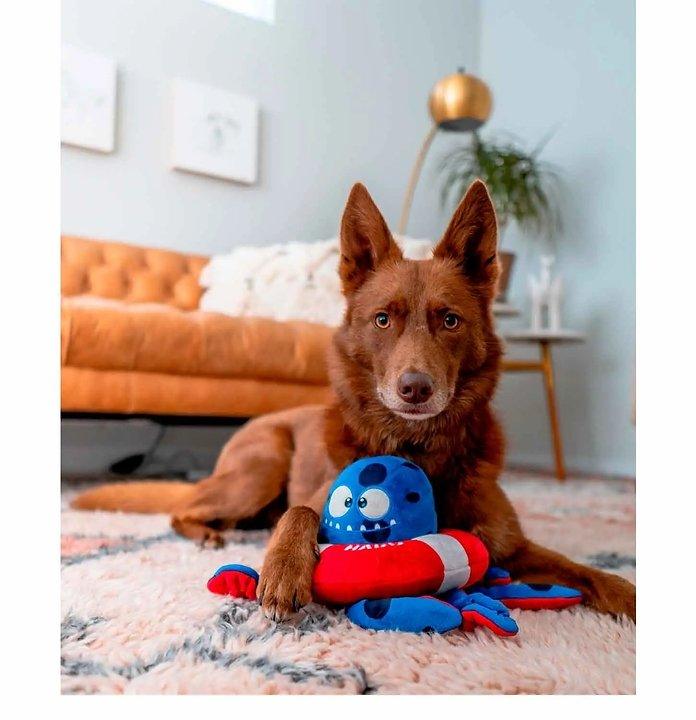 Tugtopus | Hundespielzeug Octopus - Bobbis Store Hunde