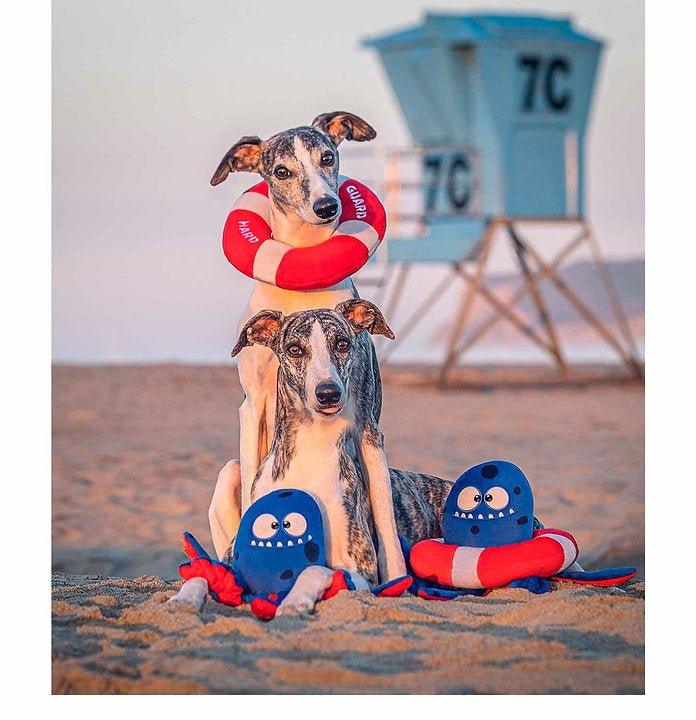Tugtopus | Hundespielzeug Octopus - Bobbis Store Hunde
