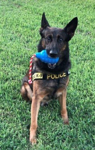 USA-K9 Grenade Blau - Kauspielzeug - Blau L - Bobbis Store Hunde