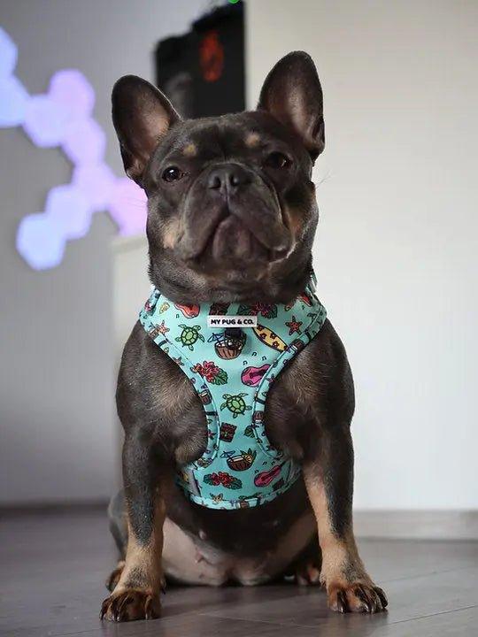 Verstellbares Geschirr Coco Loco - Bobbis Store Hunde