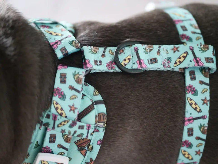 Verstellbares Geschirr Coco Loco - Bobbis Store Hunde