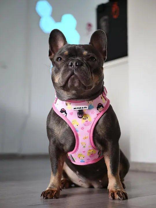 Verstellbares Geschirr Prinzessin - Bobbis Store Hunde