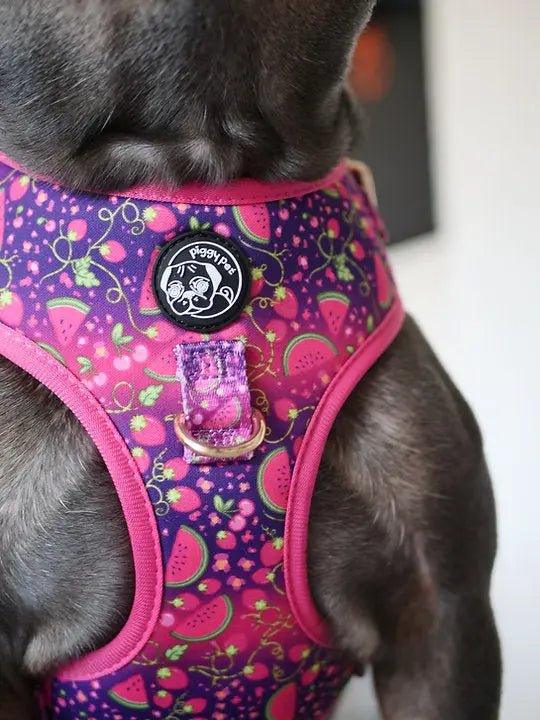 Verstellbares Hundegeschirr | Juicy Fruits - Bobbis Store Hunde