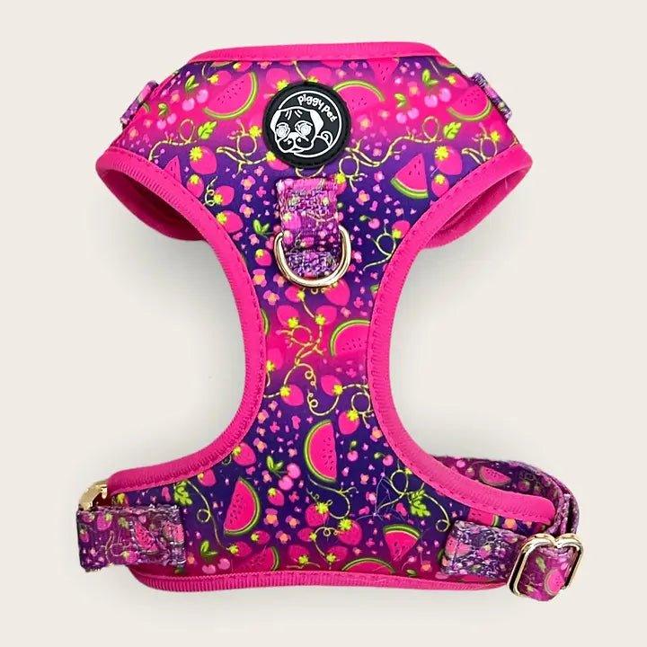 Verstellbares Hundegeschirr | Juicy Fruits - Bobbis Store Hunde