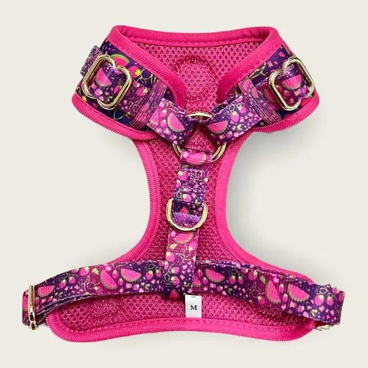 Verstellbares Hundegeschirr | Juicy Fruits - Bobbis Store Hunde